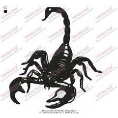 Money Hoes And Cloths