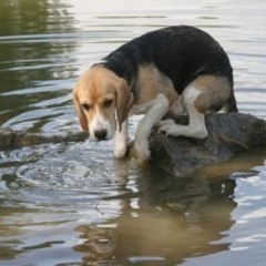 The Ever-Flooding Town Of Corazon - demo