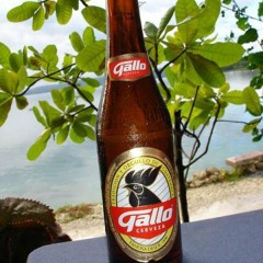 Cantina mix DJ HERMAN