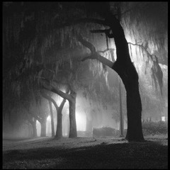 ကိုစောညိမ်း