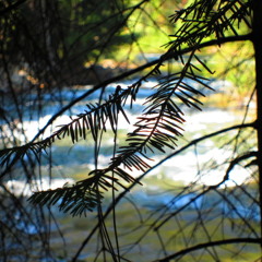 70's Kung fu movie music.