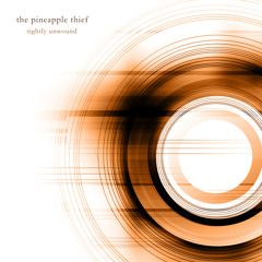 The Pineapple Thief - My Debt To You (from Tightly Unwound 2013 Remaster)