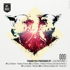 B1- Los Pastores - Madness (Original Mix)
