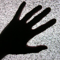 Crashroots - statica