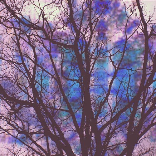 02_PLANINATA