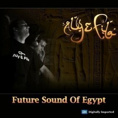 Aly & Fila -  Future Sound Of Egypt 311