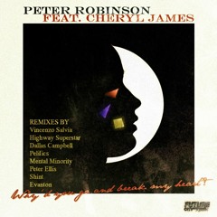 Peter Robinson - Why'd You Go And Break My Heart (Highway Superstar Remix)