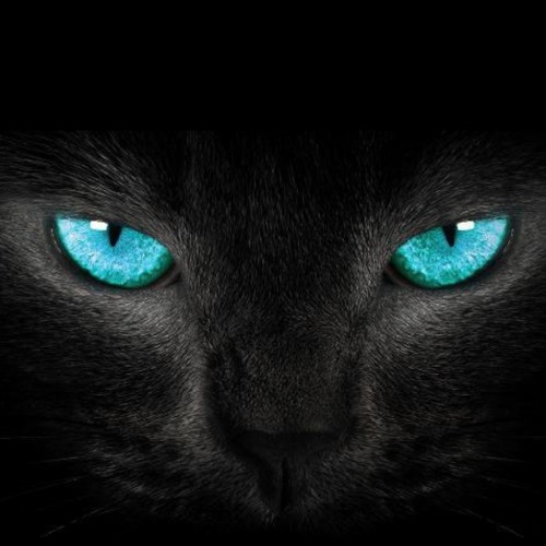 Forbidden Society - Filth VIP (Current Value Remix)