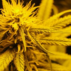 Tilidean - 32BARS INYAFACE 2013