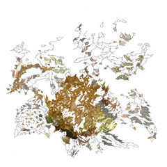 "No Room for Breathing" excerpt by Max Eilbacher