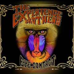 The Experience Brothers - Stombox