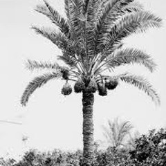 Into the Mystic/Benson-Lamb