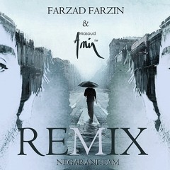 Farzad Farzin - Negaranetam (Amir Masoud Remix)