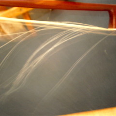 Supraneuston - Pascale mansion-Calmettes (l'Oreille rouge)