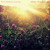 Artwork for The Opium Cartel - When We Dream Single Edit