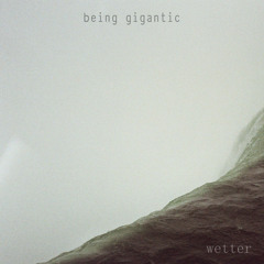 Twista ft. Erika Shevon // Wetter (beinggigantic remix)