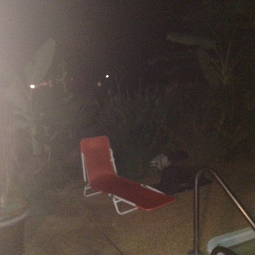 Xavier Wulf - Bugs On Fruit (Prod. Cannabi$)