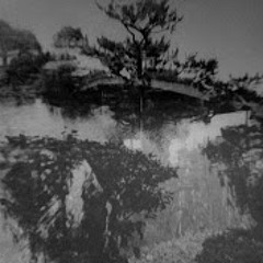 This Is Cinema - The Fool (Birth 2004 EP)