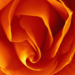 My First Love - Slotta [Paradise Vocal remix]