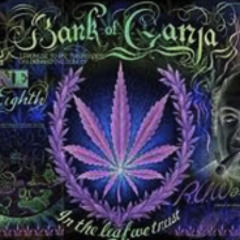 NOMAD MC. :: MONEY ON TREES