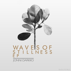 Jonni Darkko - Waves of Stillness (Original Mix)