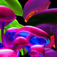 Champa - Magic Mushroom (Mentalogic Remix)