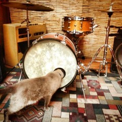 Non è finita, ma sta per finire