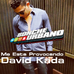 Me Estas Provocando - David Kada 2013