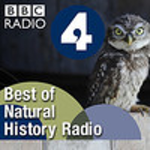 Stream Pmg Stream PMG: 08 Sep 12: Bruch Violin Concerto No.1 by Best Of Natural ...