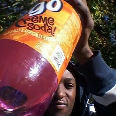 I Did It For My Dogs