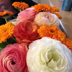 花の散るらむ（Hanano tirurann)