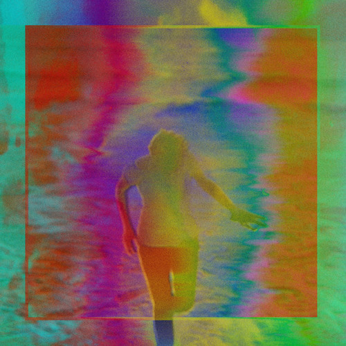 Niva - Forest View