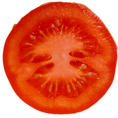 Half Tomato Orchestra