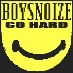 Boys Noize - Go Hard (Ryan Mcleod & Senor Roar Retwerk)
