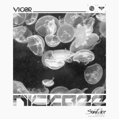 NickBee - Vigor(Soul & Ice recordings) - out on 28 of october