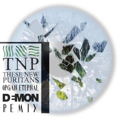 These New Puritans - Organ Eternal (DEMON Remix)