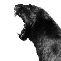 Amplifier Mouth - Song 2