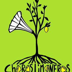 Camalimón Live at Live Uit Lloyd, Radio Rijnmond