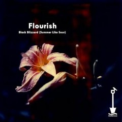 Flourish / Heaven Tar