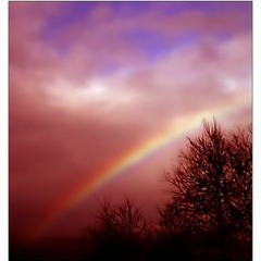 Elton John **Candle In the Wind