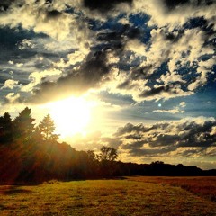 end of summer (cologne 2012)