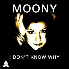 I Don't Know Why (Steven Quarre & Morris Mavado Remix)