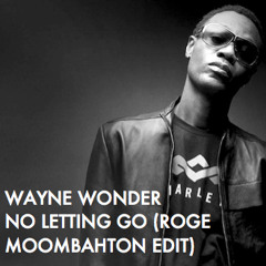 Wayne Wonder - No Letting Go (Rogé moombahton edit)
