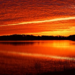 ZEITFAKTOR Feat. Mari Kattman - Sunrise (Vocal Version) - ✰Milennia Music✰ Remix