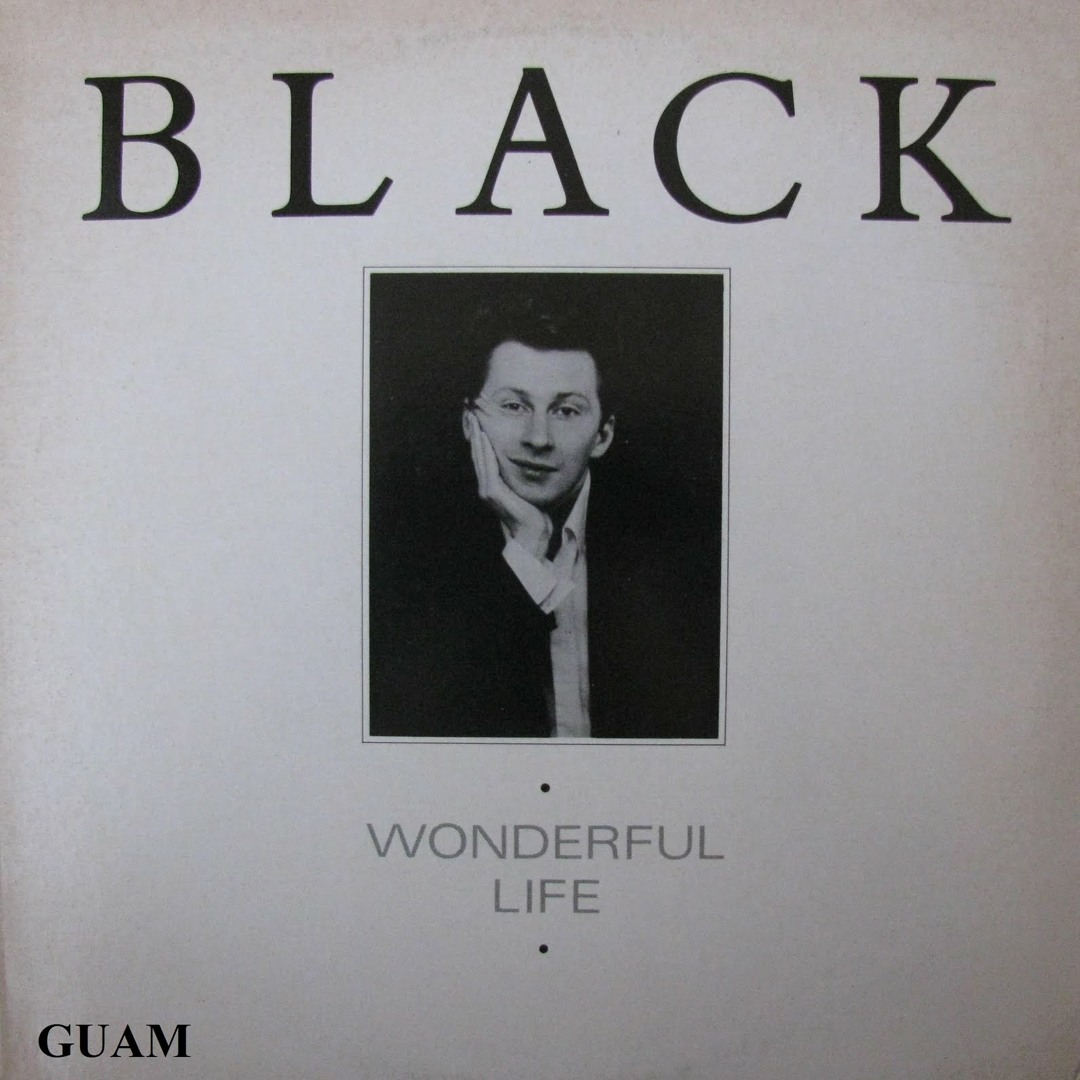 Stream Black Wonderful Life (E-Duls 12 inch Bootleg RMX) - Free