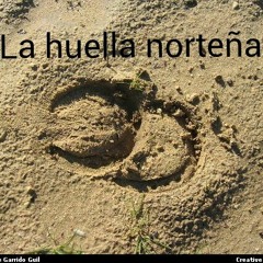 Candido Corral (ausencia Eterna)