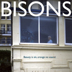 Bisons - Fading Beauty