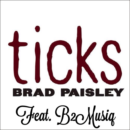 Brad Paisley Ticks (Cover)