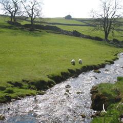 Gordale Beck