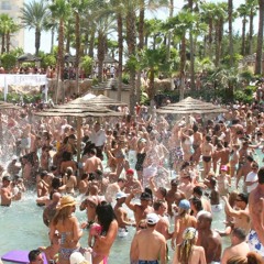 Pools of Vegas